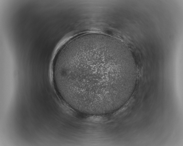 X0000112380294200908131534