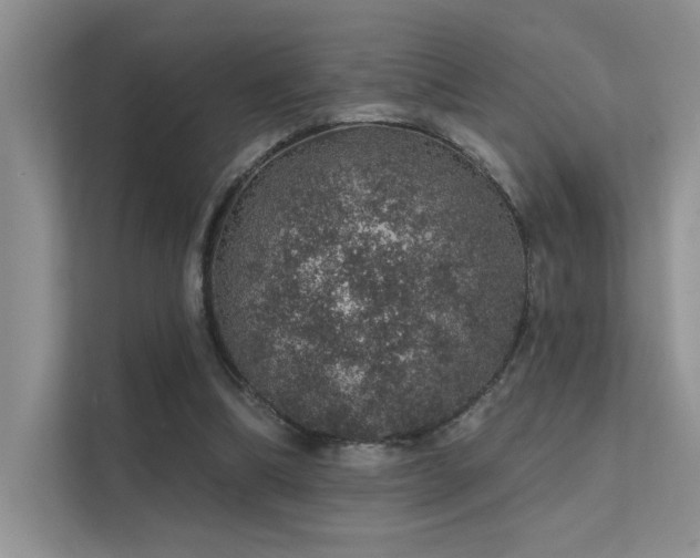 X0000112380298200908131534