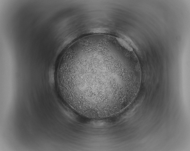 X0000112380299200908131534