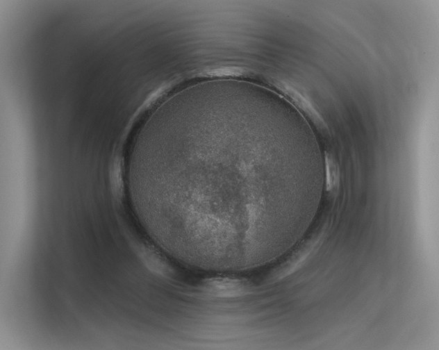 X0000112380300200908131534