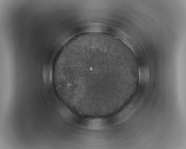 X0000112380301200908131534