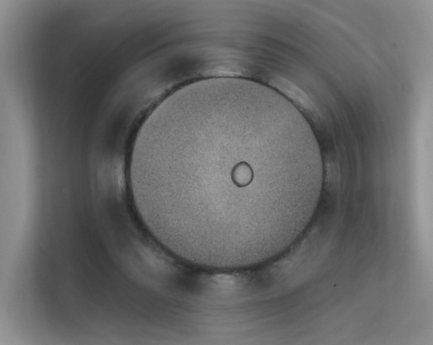 X0000112380302200908131534