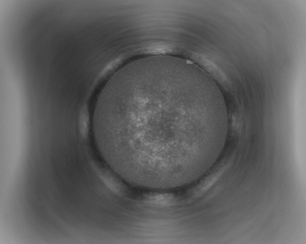 X0000112380304200908131534