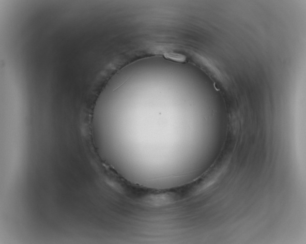 X0000112380307200908131534