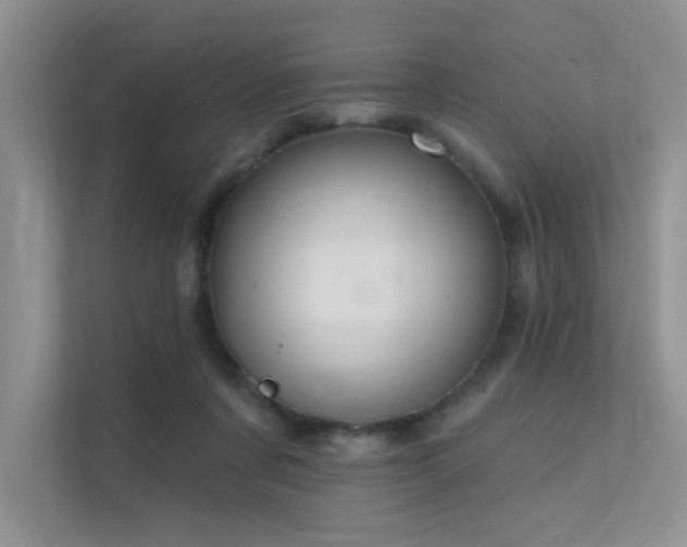 X0000112380311200908131534