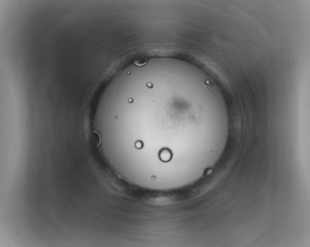 X0000112380312200908131534