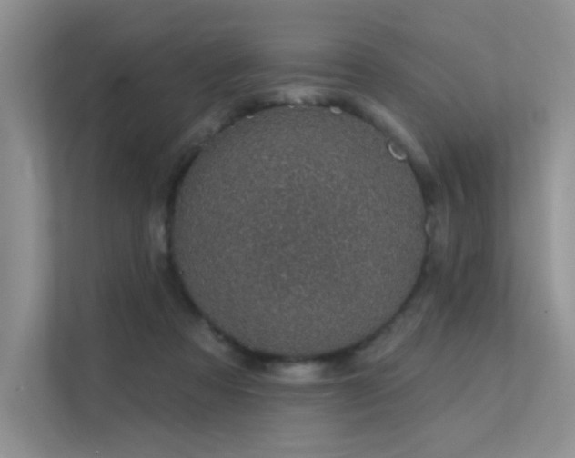 X0000112380313200908131534