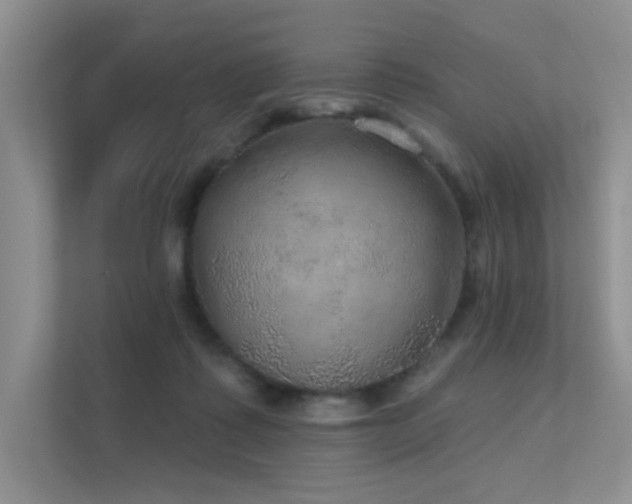 X0000112380315200908131534