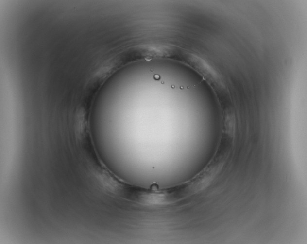 X0000112380318200908131534