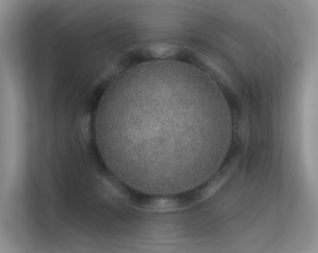 X0000112380319200908131534