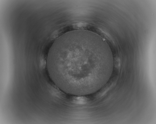 X0000112380324200908131534