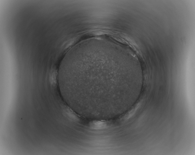 X0000112380325200908131534