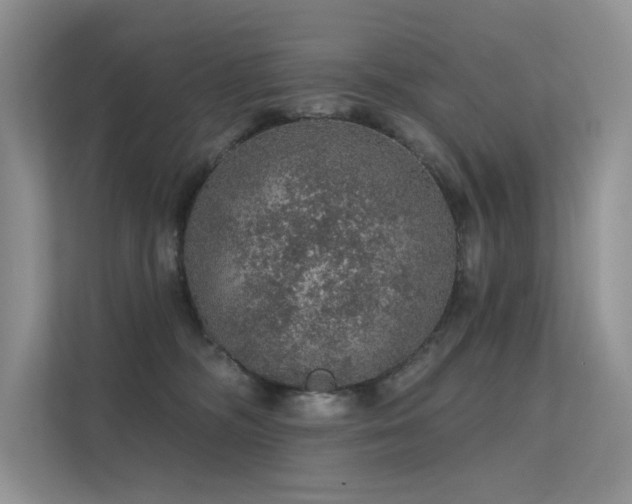 X0000112380326200908131534