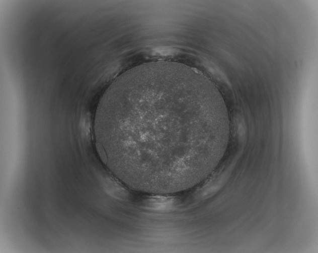 X0000112380328200908131534