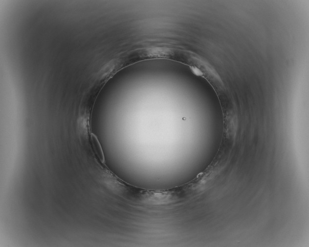 X0000112380329200908131534