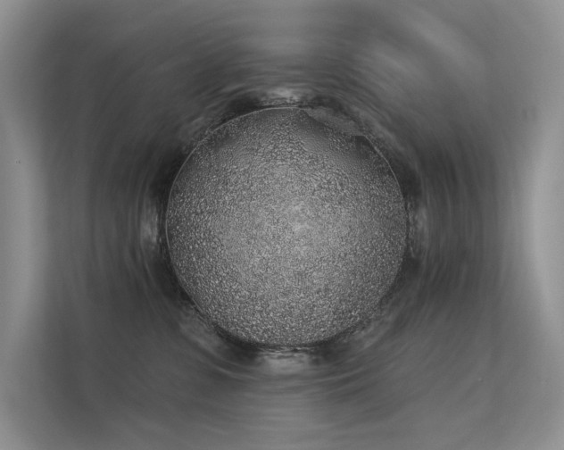 X0000112380331200908131534