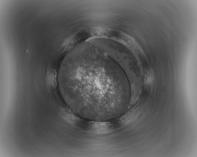 X0000112380332200908131534