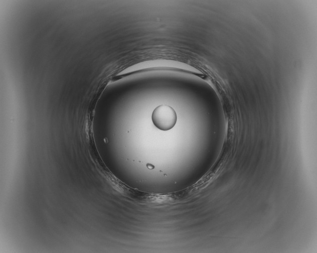 X0000112380333200908131534