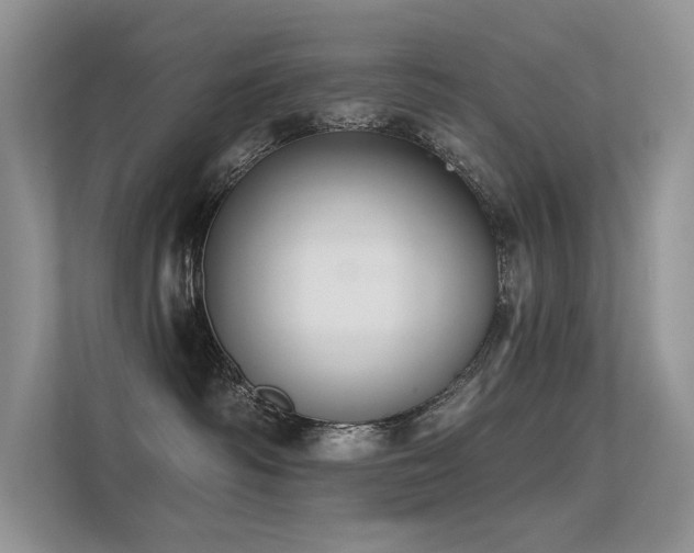 X0000112380334200908131534