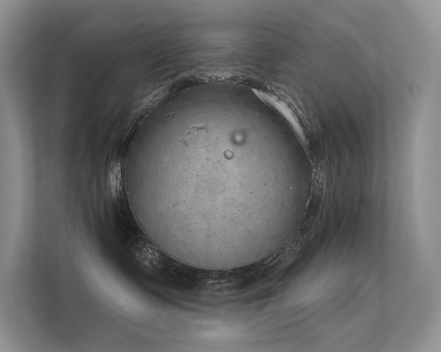 X0000112380335200908131534