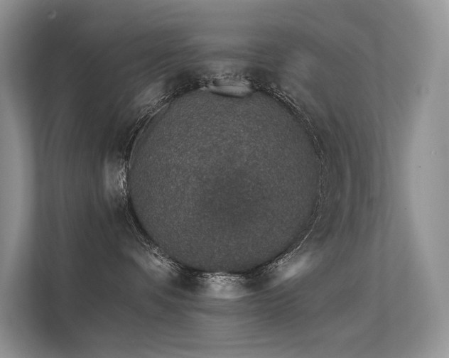 X0000112380336200908131534