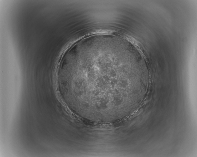 X0000112380337200908131533