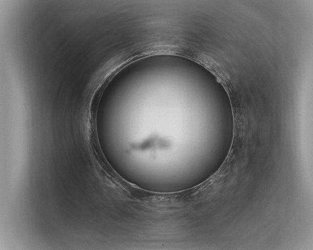 X0000112380338200908131533