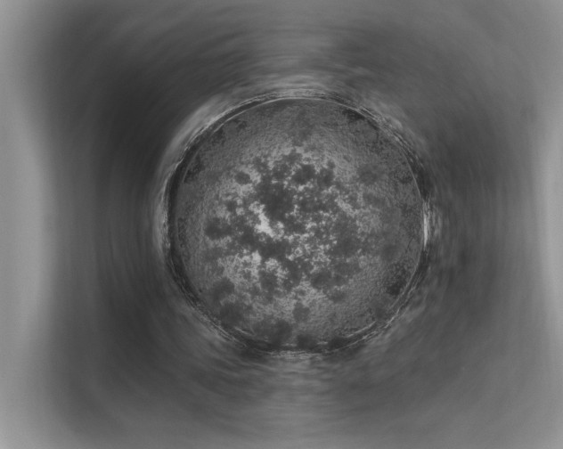 X0000112380339200908131533