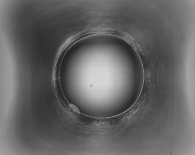 X0000112380340200908131533