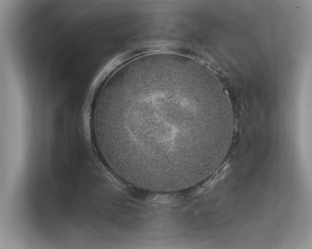 X0000112380341200908131533