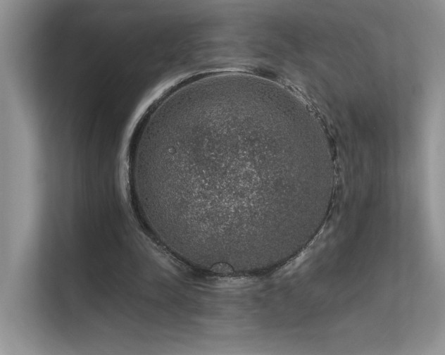 X0000112380342200908131533