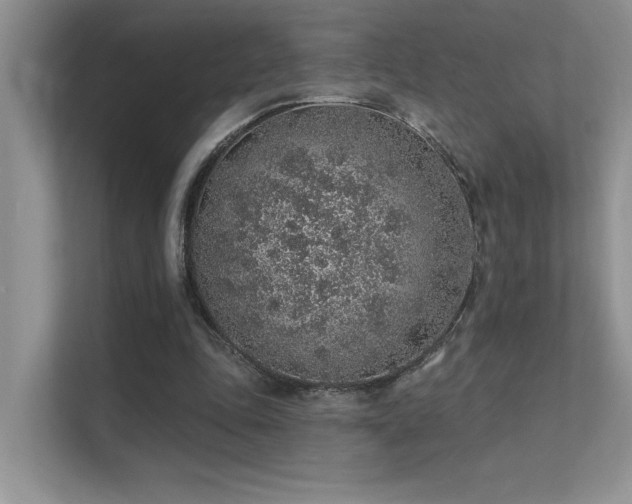 X0000112380343200908131533