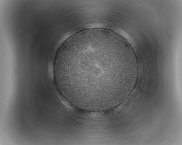 X0000112380345200908131533