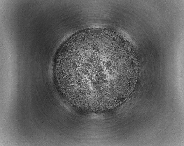 X0000112380346200908131533