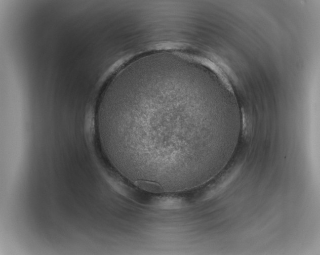 X0000112380348200908131533