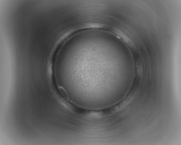 X0000112380350200908131533