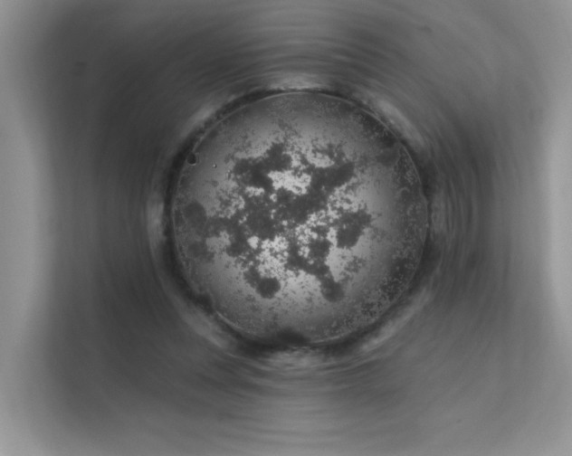 X0000112380351200908131533