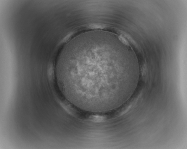 X0000112380352200908131533