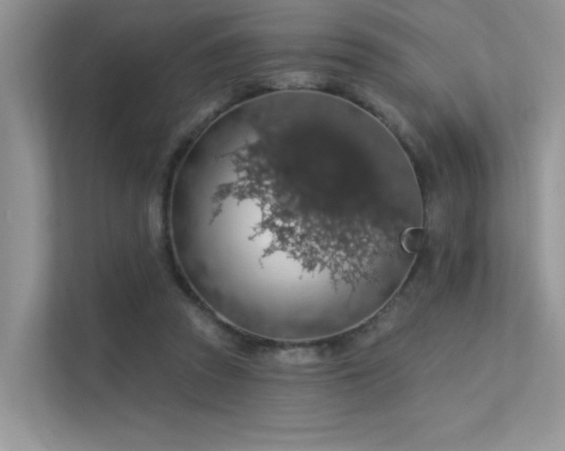 X0000112380353200908131533