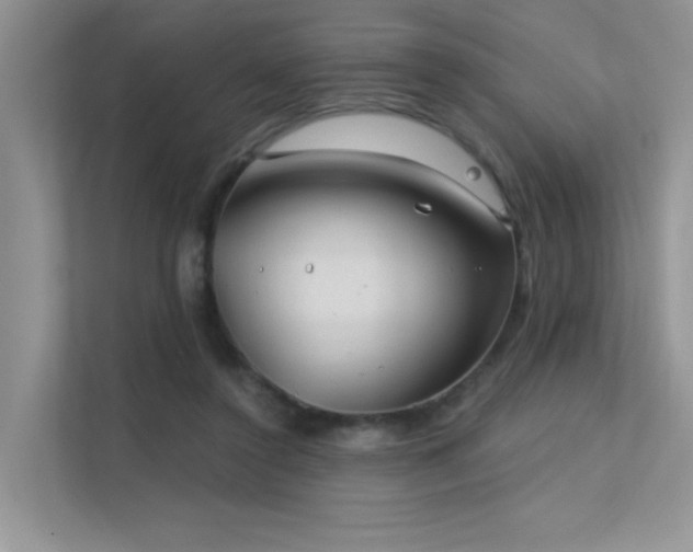 X0000112380356200908131533