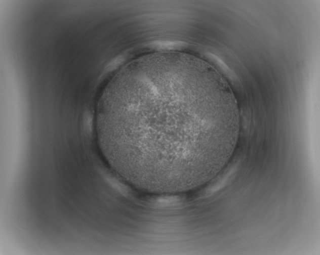 X0000112380357200908131533