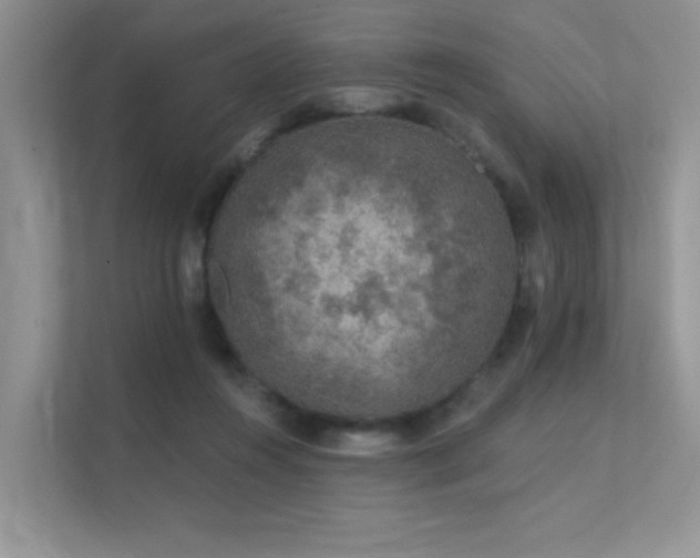 X0000112380360200908131533