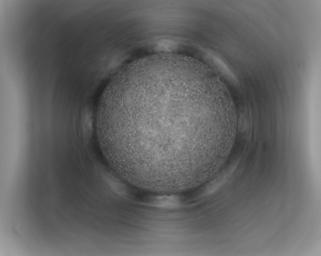 X0000112380363200908131533