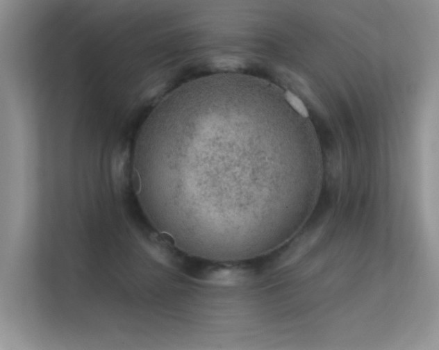 X0000112380364200908131533