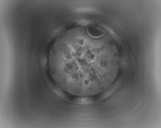 X0000112380365200908131533