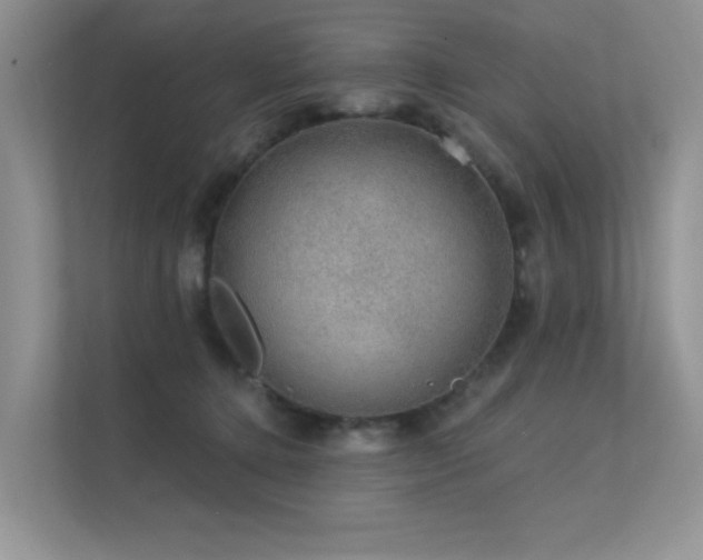 X0000112380368200908131534