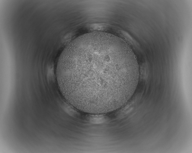 X0000112380377200908131534