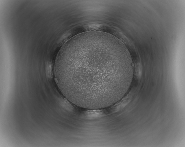 X0000112380378200908131534