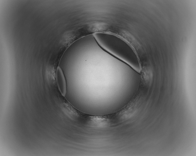 X0000112380380200908131534