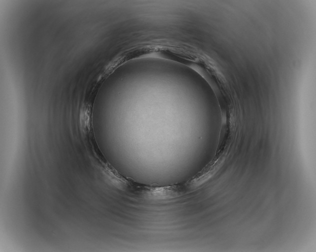 X0000112380382200908131534